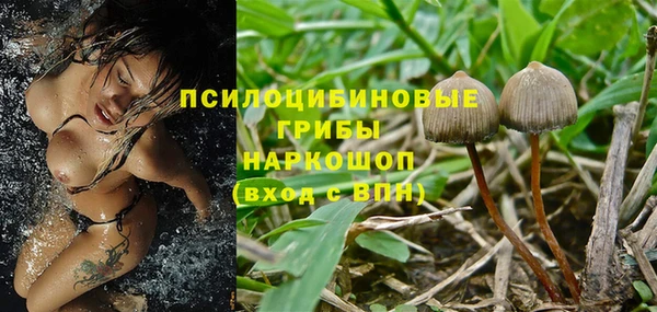 трава Наволоки