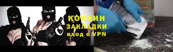 трава Наволоки