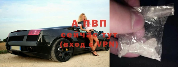 трава Наволоки