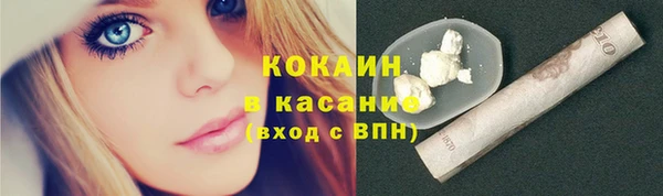 трава Наволоки
