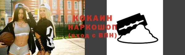 трава Наволоки