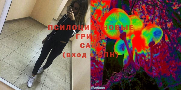 гидропоника Надым