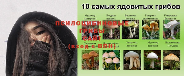 гидропоника Надым