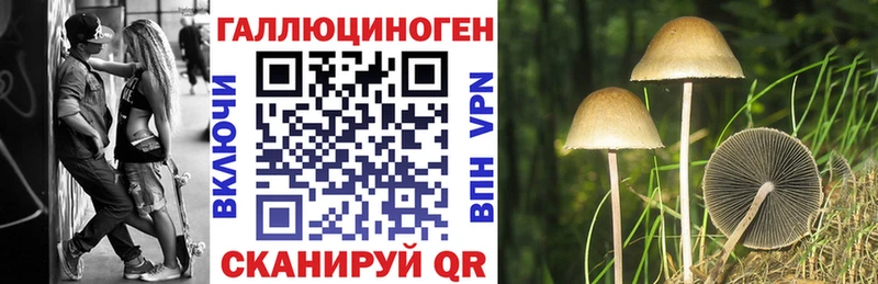 даркнет Telegram  МЕГА   Голицыно  Псилоцибиновые грибы мухоморы 